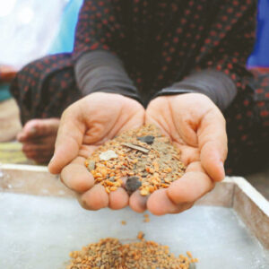 kumlu da olsa pirinc hayatta kalmak icin yemek zorundalar tSX1XYOE