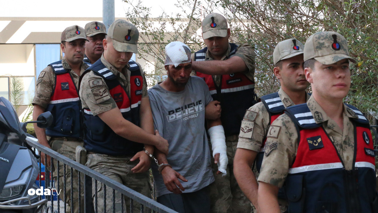 portakal bahcesinde 150 bin cinayeti iz kopegi yakaladi WFpAOZwz