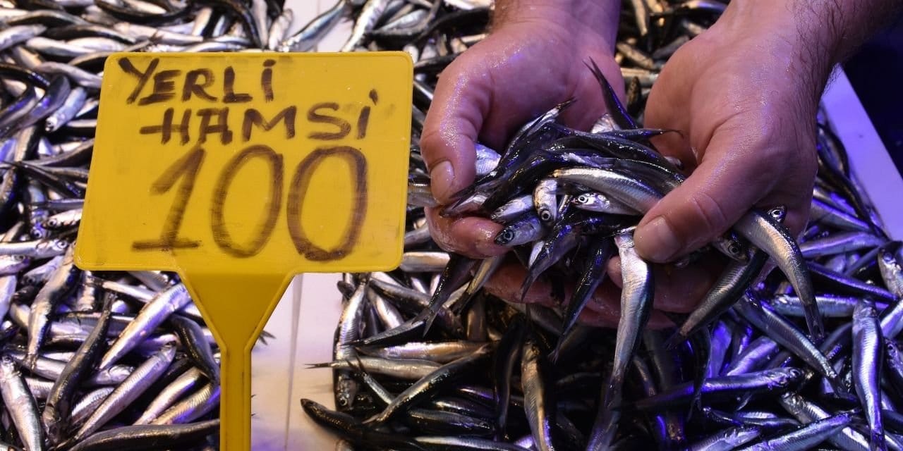 sezon acildi hamsinin kilosu 100 lira fBfA4D2x