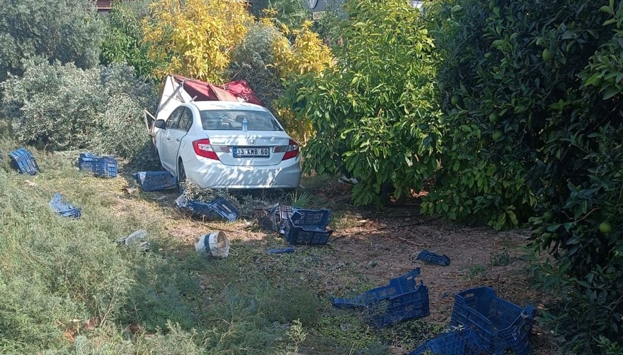 zeytin toplayan iscilere carpti olu sayisi yukseldi 7mudAkbu