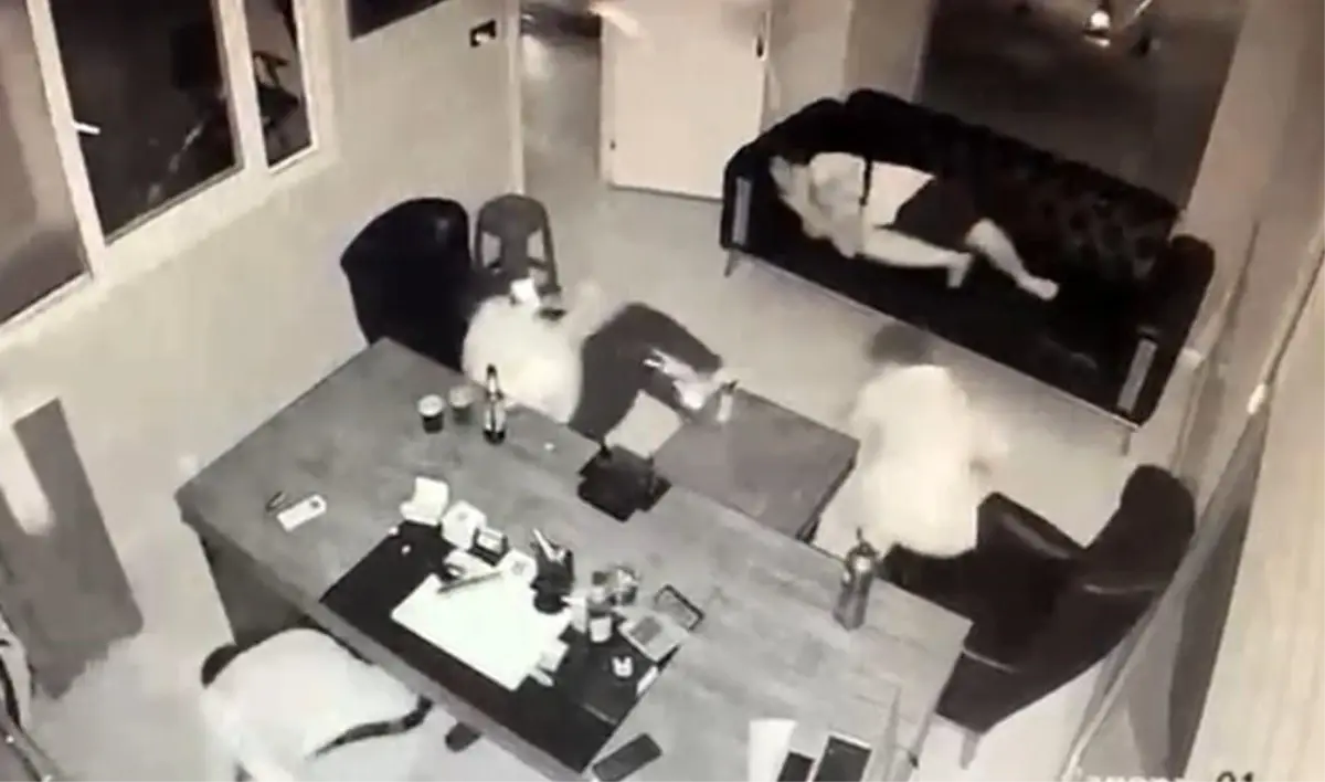 adanada galeriye baskin 4 saatte yakalandilar 7LtED7zH