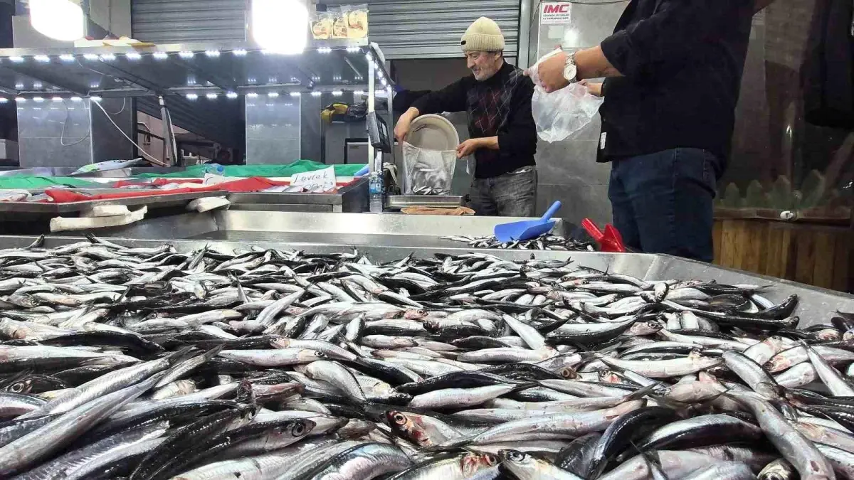 bartinda hamsi fiyatlari dusuyor hBBgZVxF.jpg