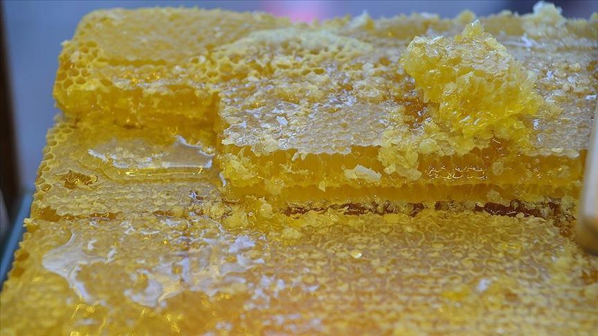 dogu karadenizin bal ihracati 17 milyon dolari asti ggzZ2D1f.jpg