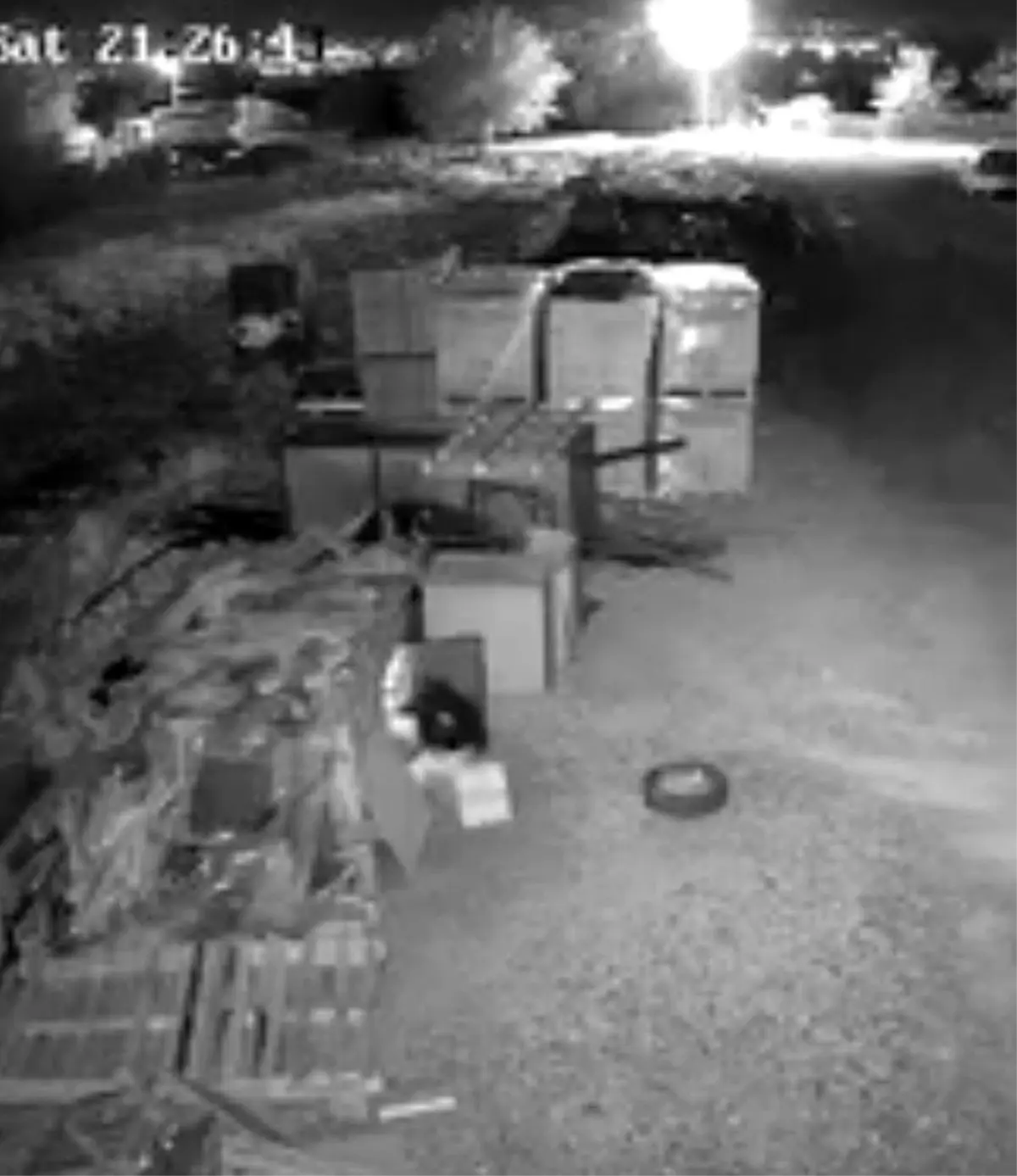 elazigda guvercin hirsizligi guvenlik kamerasinda 577994L5.jpg