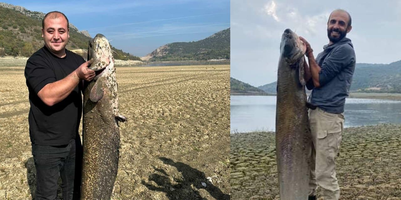 su seviyesi dustu yayin baligi avina ciktilar gururla da paylastilar 8kILR1wr.jpg