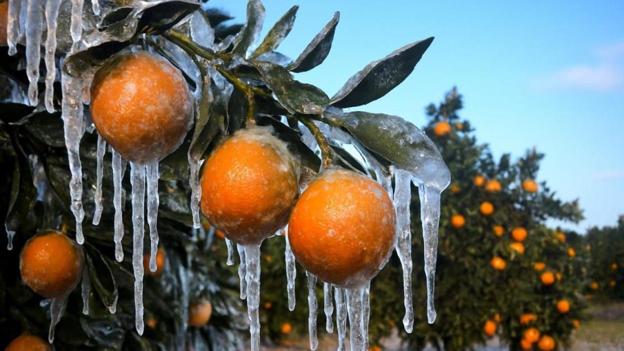 ureticilere 717 milyon tl odeme bakanlik duyurdu BAJu9irK.jpg