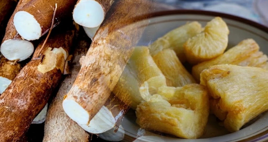 500-milyondan-fazla-kisi-ekmek-yerine-bunu-yiyor-cig-yiyene-zehir-oluyor-DUEhShHR