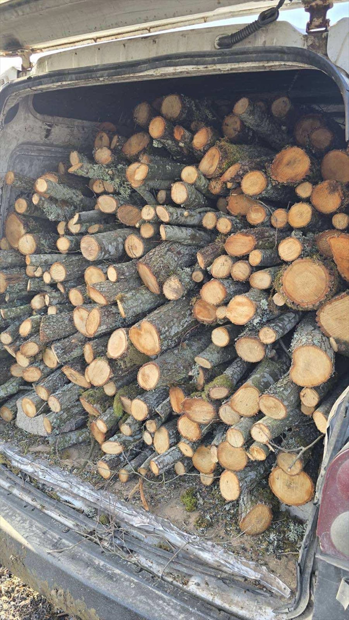 Bilecik’te Kaçak Orman Ürünleri Taşınırken Ele Geçirildi