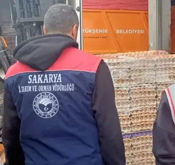 Sakarya’da 42 Bin Sahte Organik Yumurtaya El Konuldu