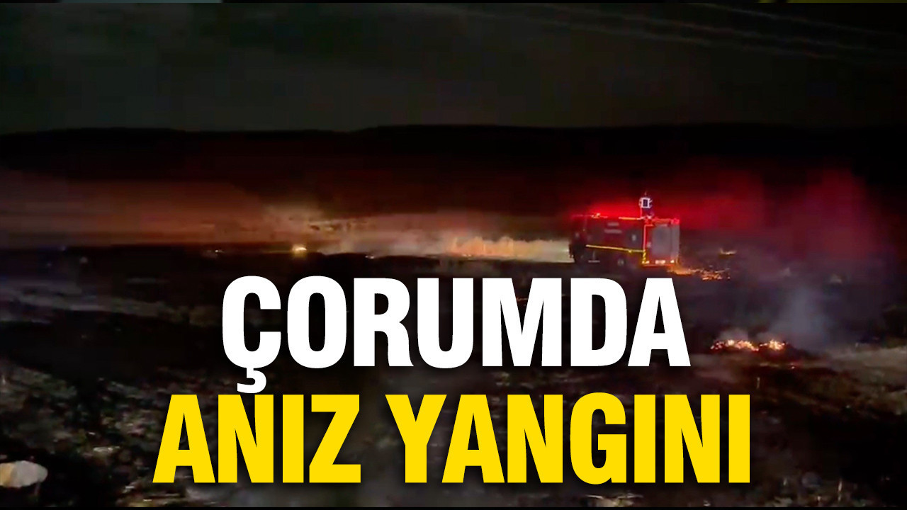 Çorum’da anız yangını büyümeden söndürüldü Haber gorseli